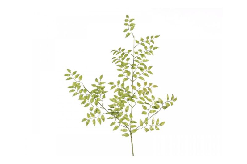 小枝　3本セット