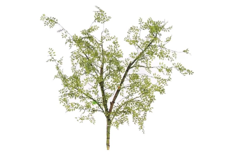 スマイラックス