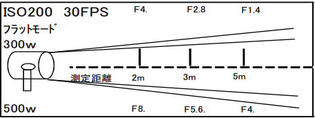 500ｗ/300ｗ パーライト(PAR36)